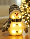 LED-Deko-Schneemann-beleuchtet-Dekofigur-Weihnachtsdekoration-Hoehe-ca--26-cm-gravidus-10340.JPG