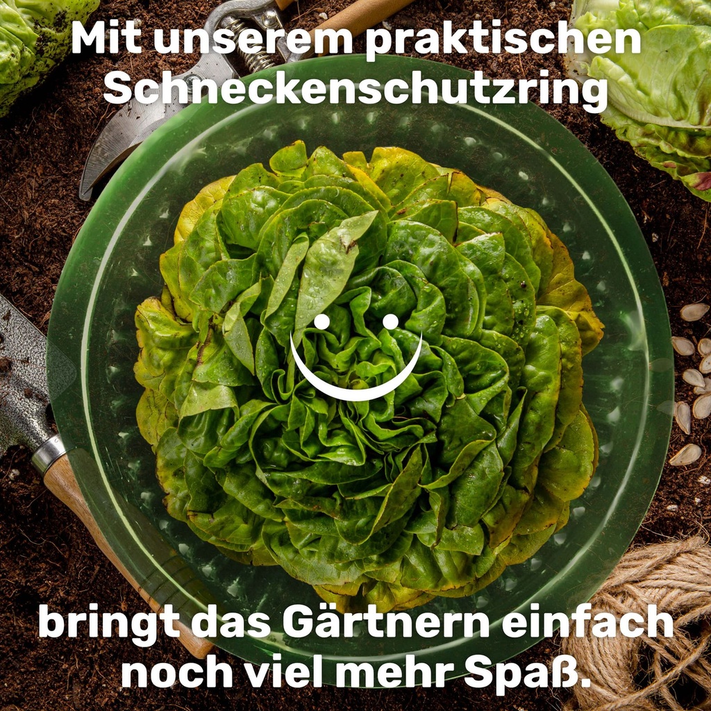 Schneckenschutzring-Set-Salatring-Pflanzenkragen-Kunststoff-ca--20-x-20-cm-gravidus-11290_5.jpg