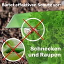 Schneckenschutzring-Set-Salatring-Pflanzenkragen-Kunststoff-ca--20-x-20-cm-gravidus-11290_6.jpg