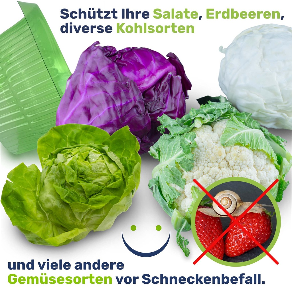Schneckenschutzring-Set-Salatring-Pflanzenkragen-Kunststoff-ca--20-x-20-cm-gravidus-11290_8.jpg