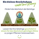 Pflanzenhut-Pflanzenschutz-Pflanzen-Abdeckung-Pflanzhilfe-Gartenglocken-Set-Tomatengewaechshaus--Anzuchtkasten--Schneckenzaun--Schneckenschutzring--Anzuchtplatte-gravidus-11298_5.jpg