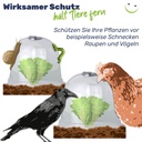 Minigewaechshaus-3er-Glockenfoermig-Schutz-fuer-Jungpflanzen-Kunststoff-Minigewaechshaus--Pflanzenpflege--Gartenbedarf--Schutzabdeckung--Pflanzenzucht--Gartenarbeit--Nachhaltige-Garteng_5.jpg