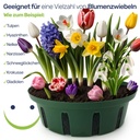 Pflanzkorb-Pflanzkoerbe-fuer-Zwiebelpflanzen---22-cm-gravidus-11497_4.jpg