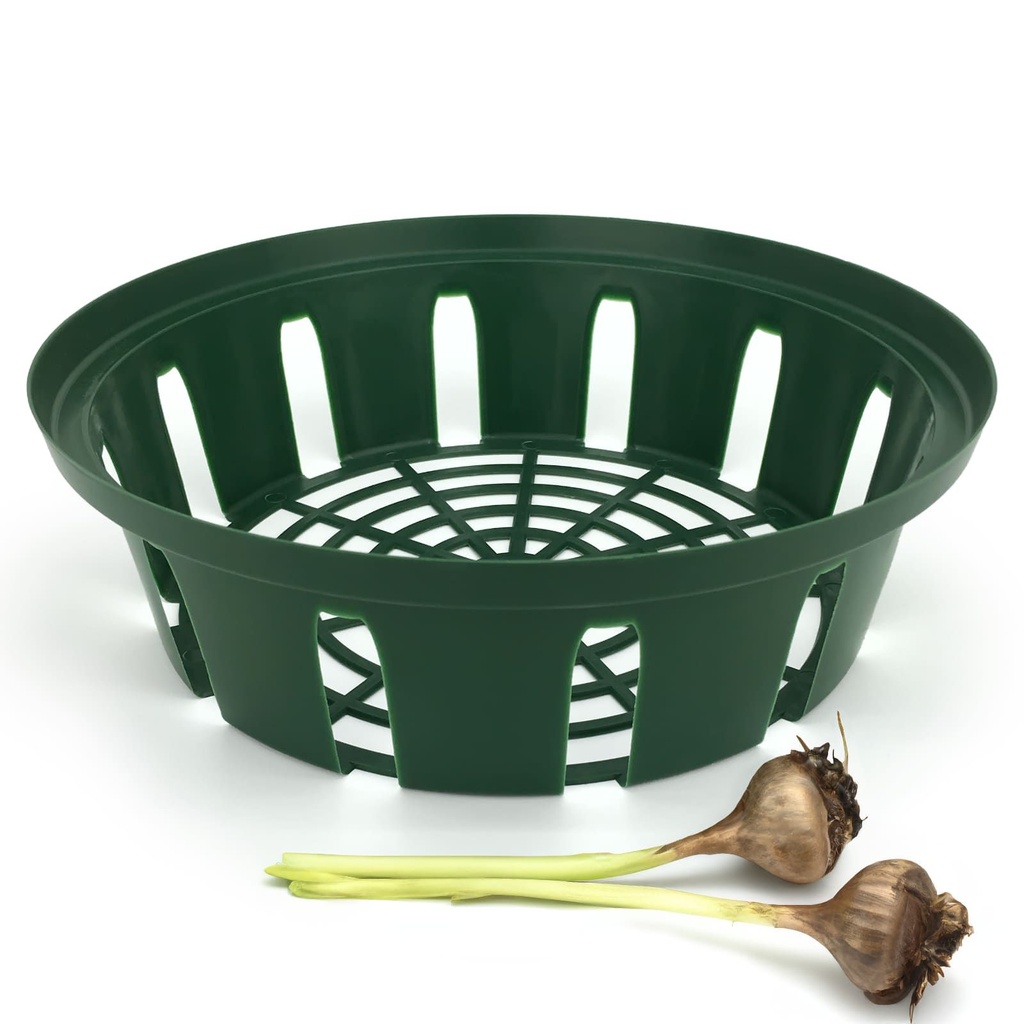 Pflanzkorb-Pflanzkoerbe-fuer-Zwiebelpflanzen---22-cm-gravidus-11497_2.jpg