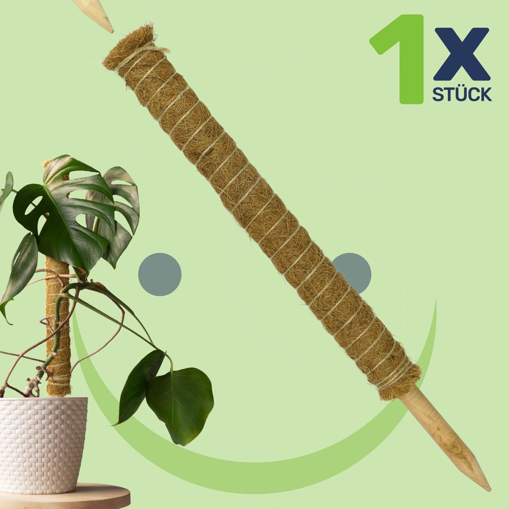 Erweiterbare-Pflanzenstuetze-mit-Kokosfilz-----Nachhaltige-Rankhilfe-gravidus-11655_6.jpg