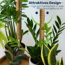Erweiterbare-Pflanzenstuetze-mit-Kokosfilz-----Nachhaltige-Rankhilfe-gravidus-11655_4.jpg