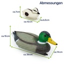 Schwimmenten-Set-aus-Kunststoff-----Perfekt-fuer-den-Teich-Schwimmenten-fuer-Teich--Deko-Enten-schwimmend--Teich-Deko-Figuren--schwimmende-Enten-fuer-Gartenteich--realistische-Schwimme_10.jpg