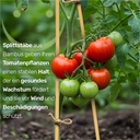 Bambus-Splittstaebe-30---cm-----Pflanzstaebe-Rankhilfe-fuer-Garten-und-Topf-bambus-pflanzstaebe-30cm-rankhilfe-tomaten-pflanzstab-bambusstaebe-anzuchthilfe-pflanzenstuetze-gartenpflanzs_3.jpg