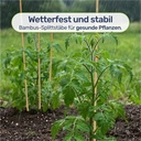 Bambus-Splittstaebe-30---cm-----Pflanzstaebe-Rankhilfe-fuer-Garten-und-Topf-bambus-pflanzstaebe-30cm-rankhilfe-tomaten-pflanzstab-bambusstaebe-anzuchthilfe-pflanzenstuetze-gartenpflanzs_5.jpg
