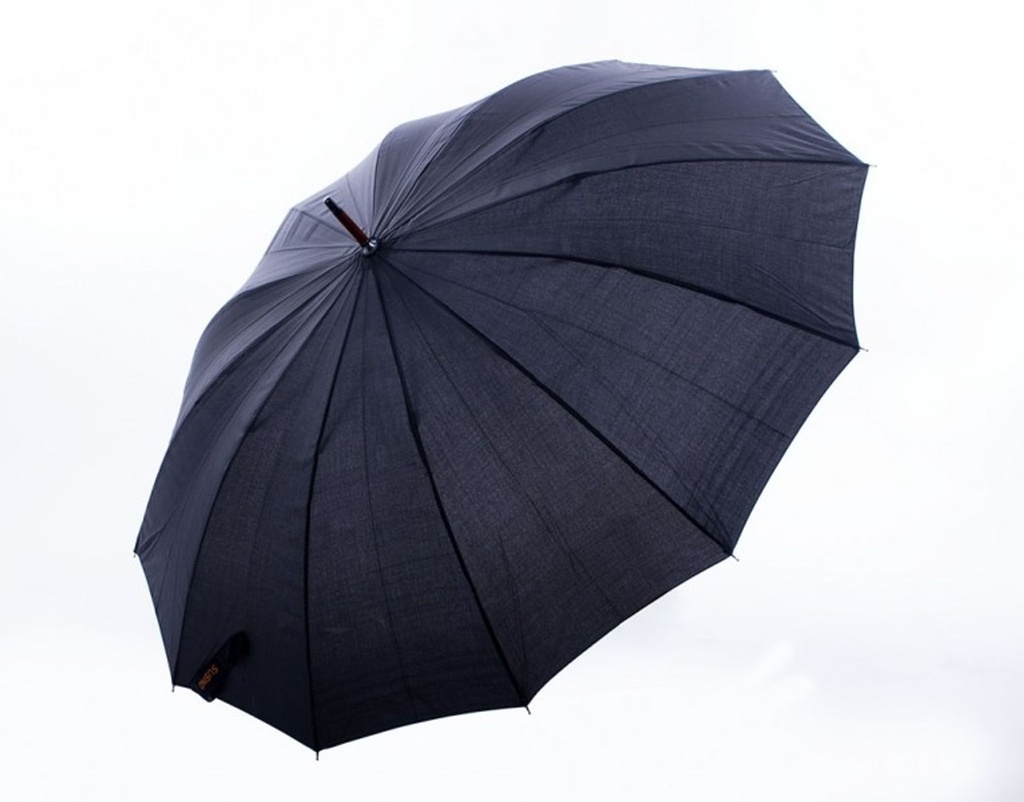 Eleganter-Automatik-Regenschirm-Stockschirm-Schirm_4.jpg