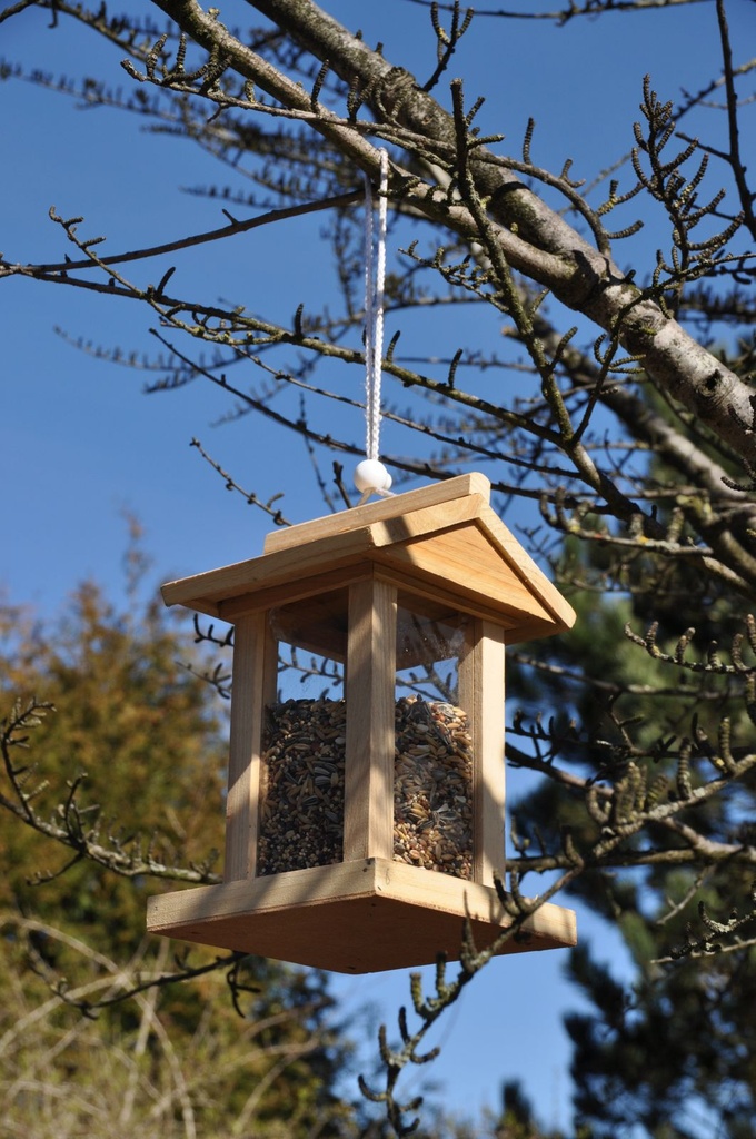Vogelfutterhaus-Vogelfutterstation-Futterspender-Futterhaus-Spender-aus-Holz-Vogelfutterhaus--Vogelfutterstation--Futterspender--Futterhaus--Spender--Vogel--Wildvogel--Futter--Koerner--Hol.JPG