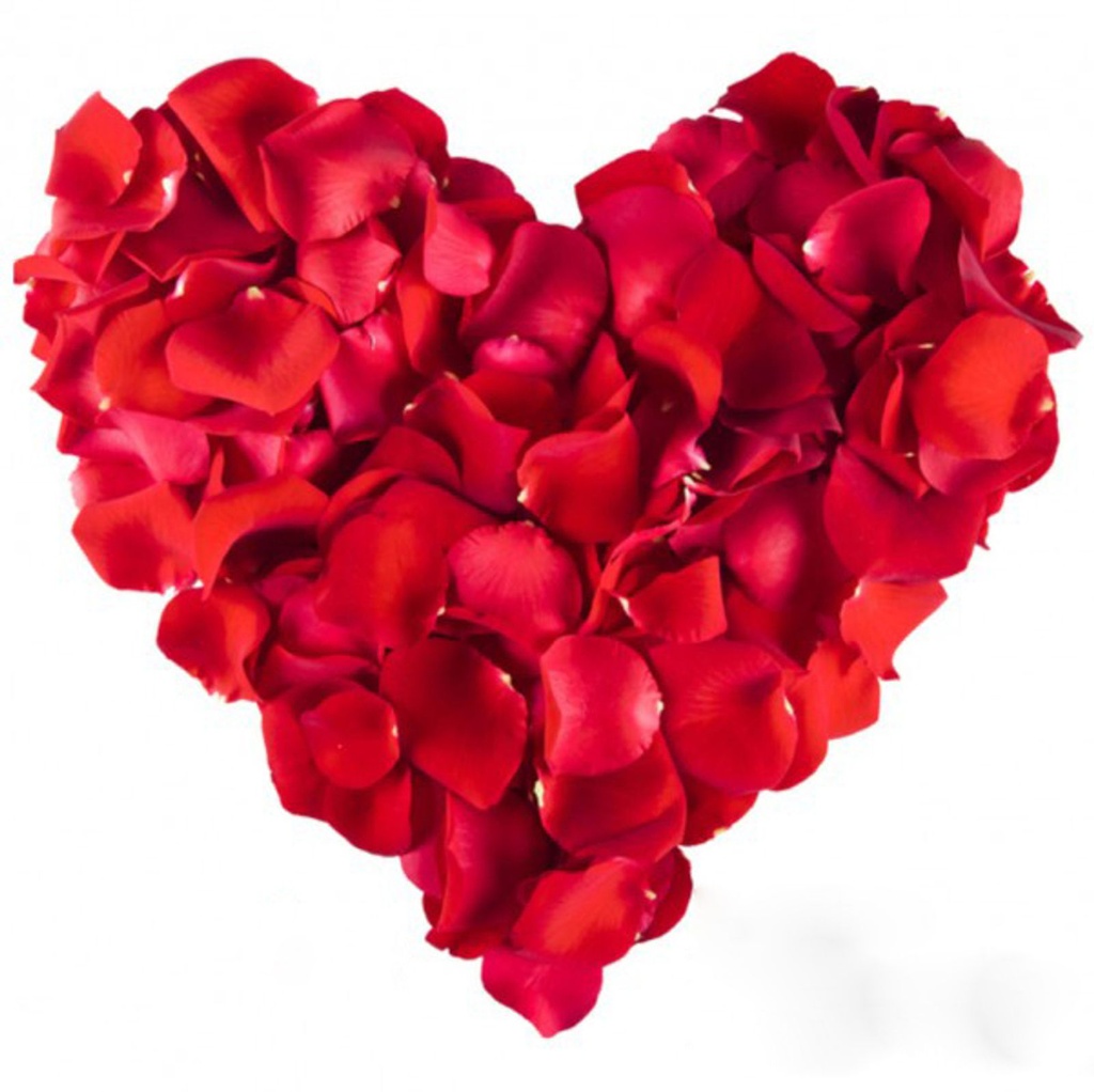 [3062] 1000 Rosenblätter Rosenblüten Rosen Blütenblätter Valentinstag Deko