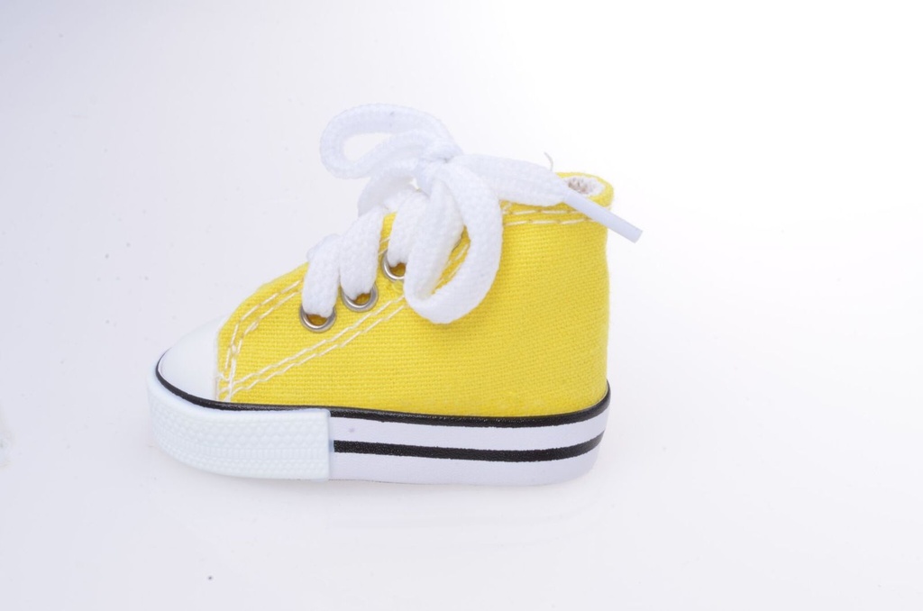 [9802] PKW Apfel Lufterfrischer: Schuhdesign