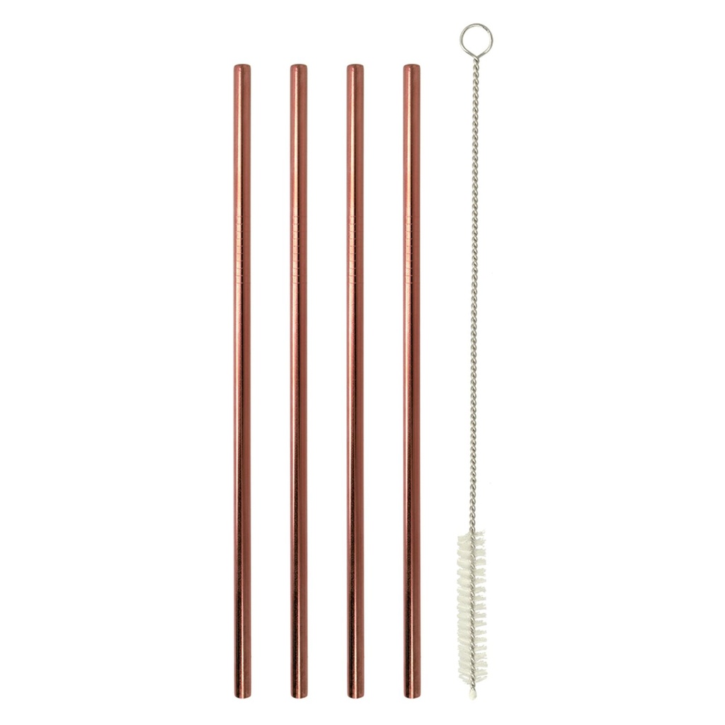 [14244] Edelstahl 4er Set Trinkhalme 21,5cm Strohhalme Barzubehör mit Bürste