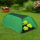 Pflanzenschutzhaube – zum Schutz für Wind, Wetter und Insekten