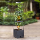 Robuste Pflanzenstütze für gesundes Wachstum