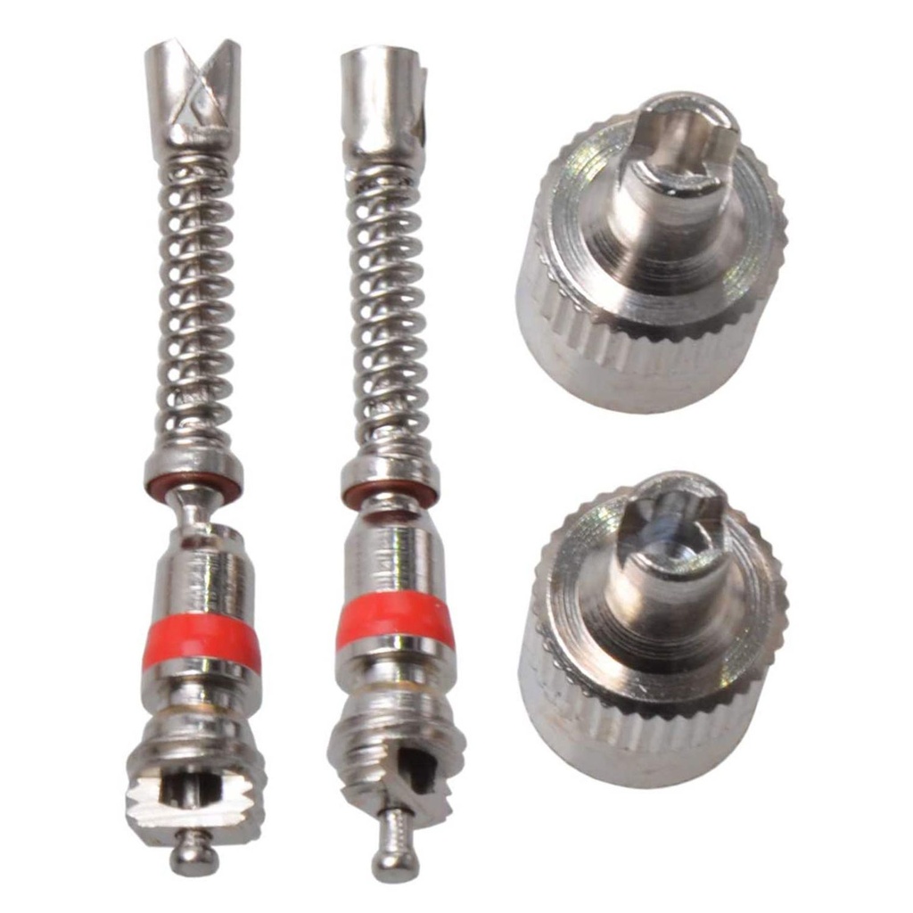 [18202] Ventileinsätze Autoventil Set 2 Stück mit Metallkappen schwarz silber